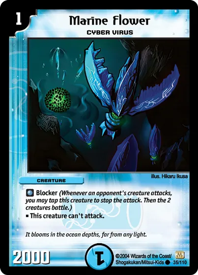 Marine Flower