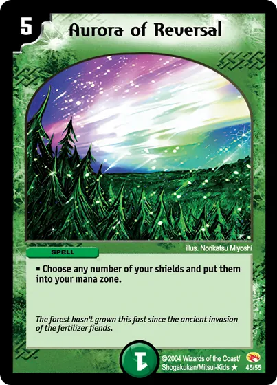 Aurora of Reversal